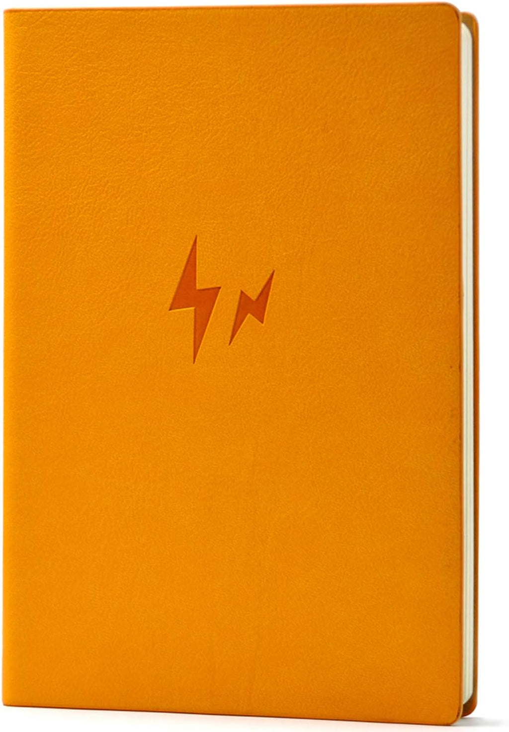 Fitness & Food Journal Weight Loss Planner for Women & Men, Tracking Meals and Exercise, Bodybuilding Progress - Daily Personal Health Tracker